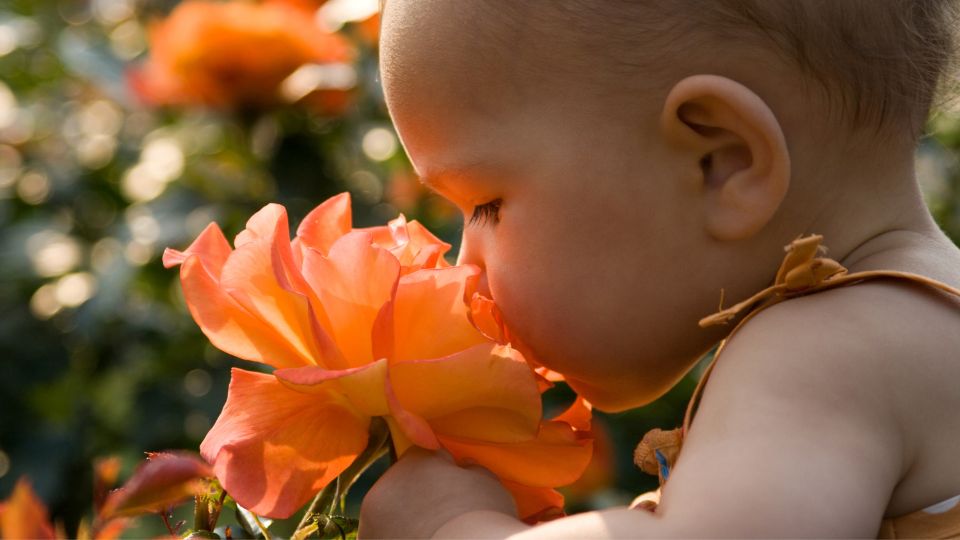 Girl Smelling Flower