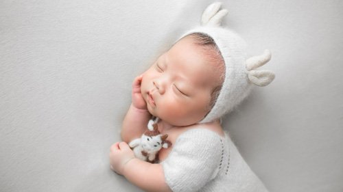 105 Animal-Inspired Baby Boy Names